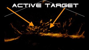 ActiveTarget Принцип работы в зимних условиях - поиск рыбы.
