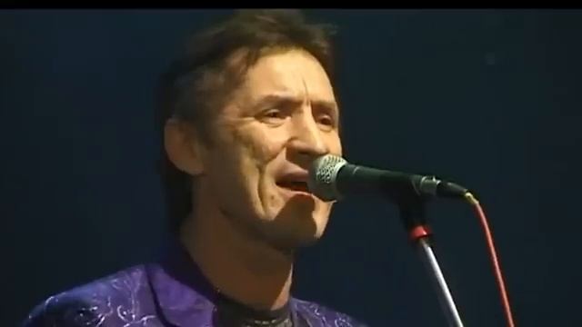 Я иду к тебе навстречу. ВИА Синяя птица. Исполняет Сергей Дроздов.