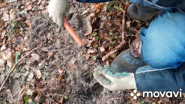 КОП В ЛЕСУ-ХАБАР СЕГОДНЯ ЩЕДРЫЙ!!!))) смотреть онлайн
