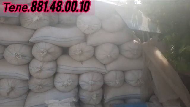 срочна чави фуруши 10 тона барои шумо бародаро теле.881.48.00.10 смотреть онлайн