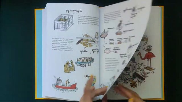 Что из чего сделано? - Гийом Ренар смотреть онлайн