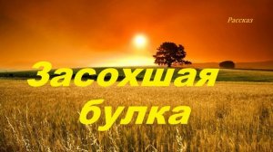 Засохшая булка.. (рассказ)