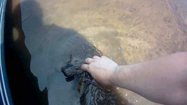 Рыбалка на спиннинг ! #рыбалка #Урал #рыбалканаУрале смотреть онлайн