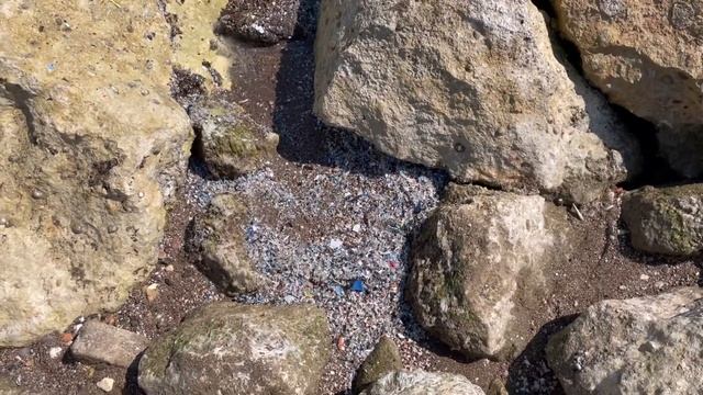 Почему море грязное в Турции? / пляжи Мерсина 2022 / море сегодня Турция смотреть онлайн