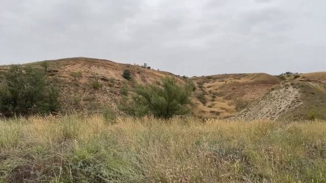 Прогулки по станице Раздорская. ?Дом отдыха «Правый берег». Лето 2022-2023 смотреть онлайн