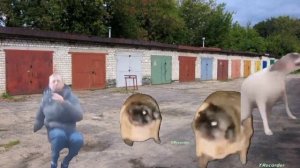 мопсы собака и бомж танцуют под музыку бандитов из скалкера