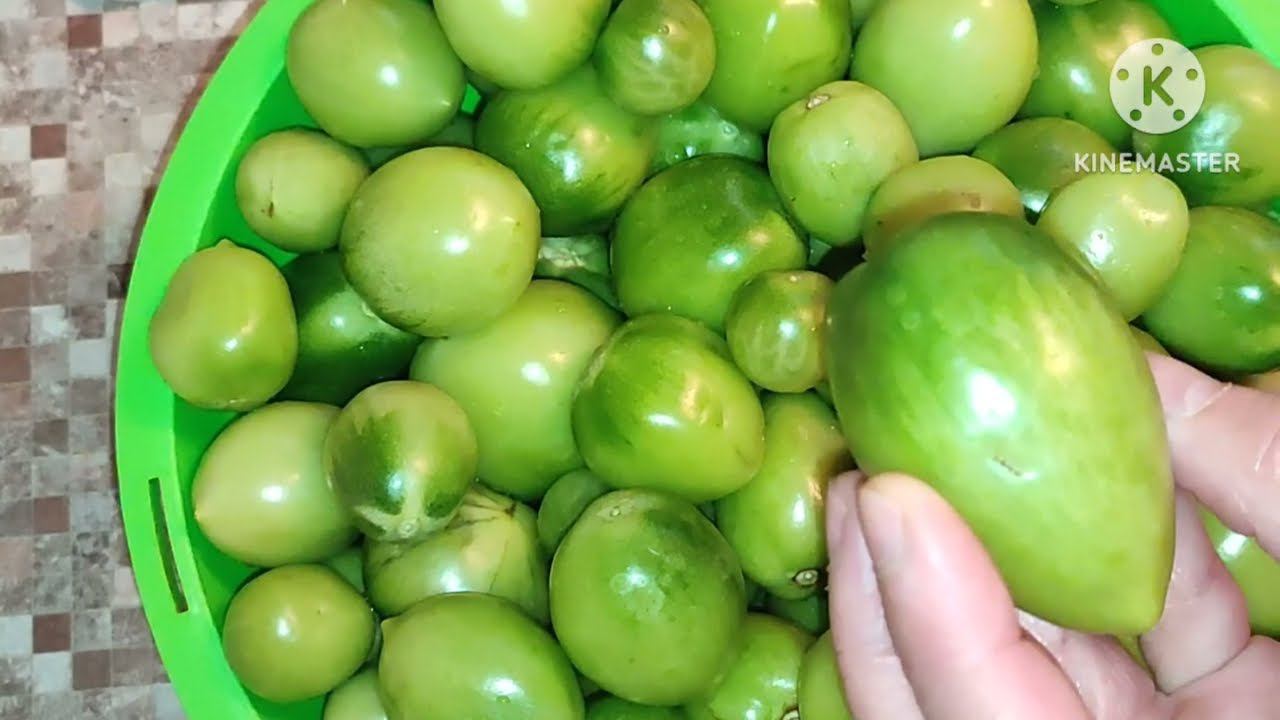 ЗЕЛЁНЫЕ ПОМИДОРЫ С ГОРЧИЦЕЙ. Быстрый и доступный рецепт. смотреть онлайн