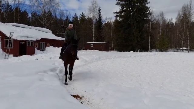 Vlog ✔️Живём в деревне ✔️Суббота это не только банный день✔️😉 смотреть онлайн