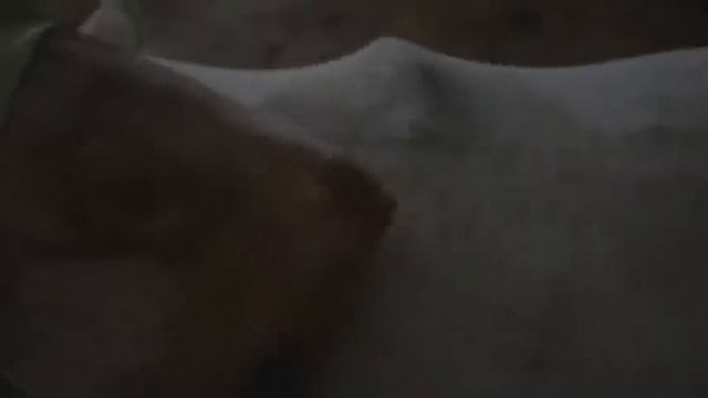 ABCs of Death ( Zygote ) 2014 смотреть онлайн