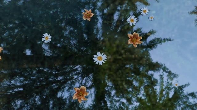 Relaxing Music for Good Sleep | The Art of Living смотреть онлайн