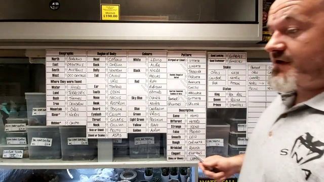 S'N'A Reptile Advice: Episode 68 - Breaking down Scientific names. An introductory guide смотреть онлайн