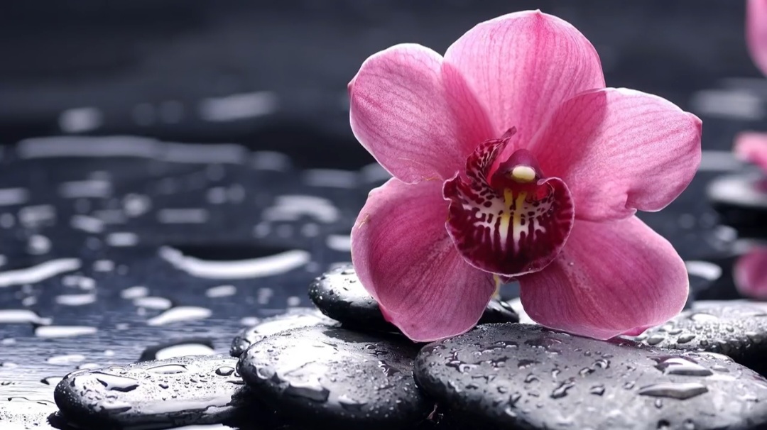 Релакс, музыка для глубокого сна. смотреть онлайн