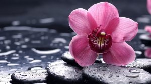 Релакс, музыка для глубокого сна.