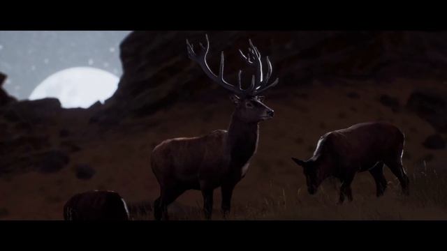 Way of the Hunter - Official Matariki DLC Launch Trailer смотреть онлайн