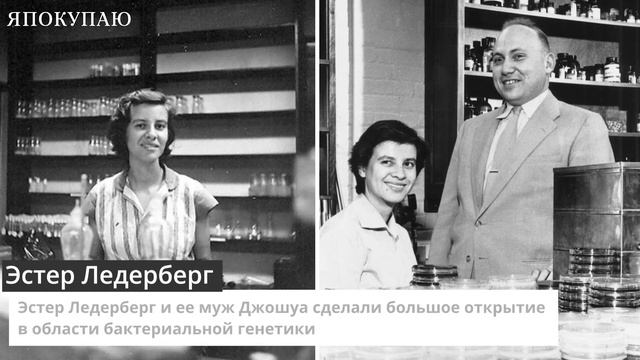 Талантливые, но неизвестные: выдающиеся женщины, чью славу украли мужчины смотреть онлайн