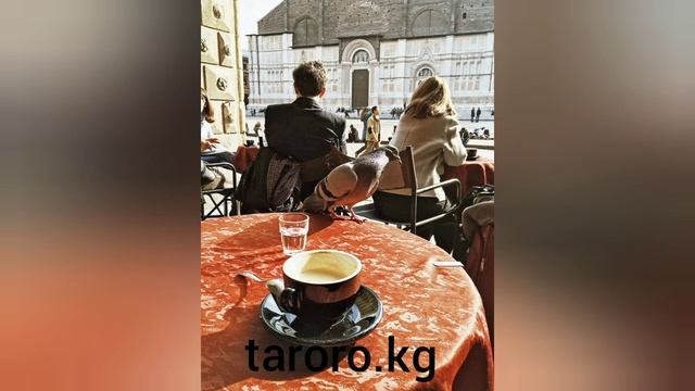 Стих:Оксана Зет.Читаю я смотреть онлайн