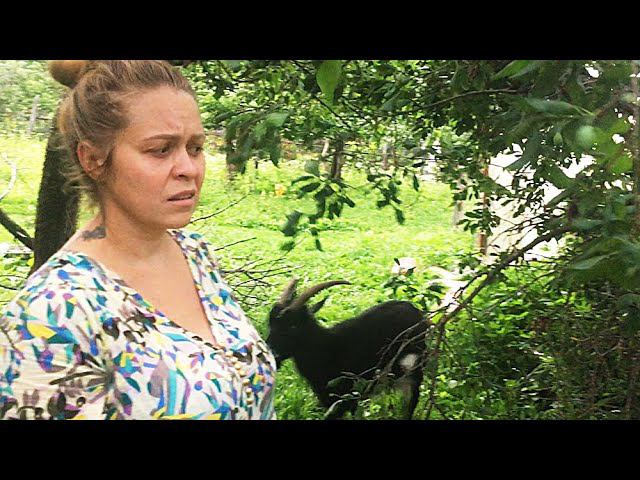 Слива упала на теплицу // Беспилотник улетел // Уж не съел лягушку // Попробовали йошту смотреть онлайн