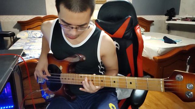 RHCP - Can't Stop (Bass Cover By Stanley C. w/ OLP MM2) смотреть онлайн