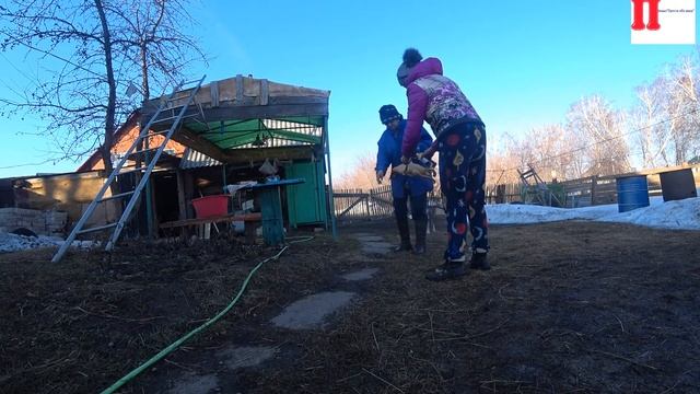 Влог:Опаливание утки газовой горелкой. Первый раз пользуюсь горелкой. смотреть онлайн