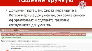 Как погасить ВСД в Меркурии в пакетном режиме