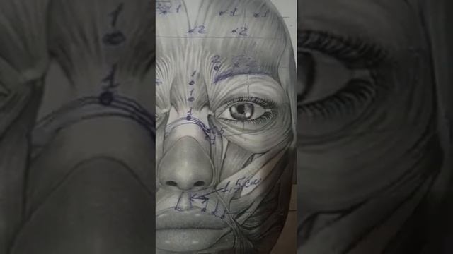 ТОКСИН.ВОПРОС~ОТВЕТ