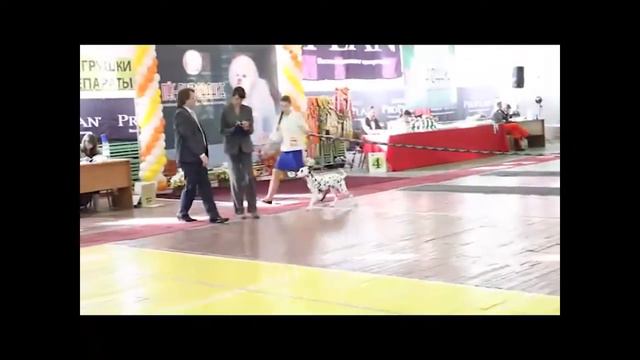 наша первая выставка))))