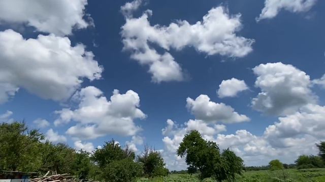 прополола картошку /покупка рассады/прогулка с женей /ко мне пришел кот смотреть онлайн