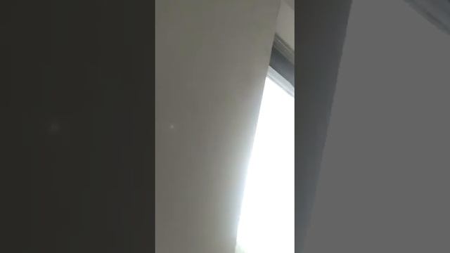 Какова важность потолков в дизайне помещения? ?????? смотреть онлайн