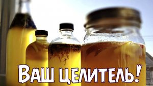 От кучи болезней спасет напиток из чайного гриба! Польза и вред чайного грибы для человека.