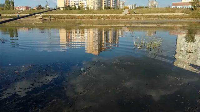 Ловля карася в районе Газовой аппаратуры в Астане (Нур-Султан) смотреть онлайн