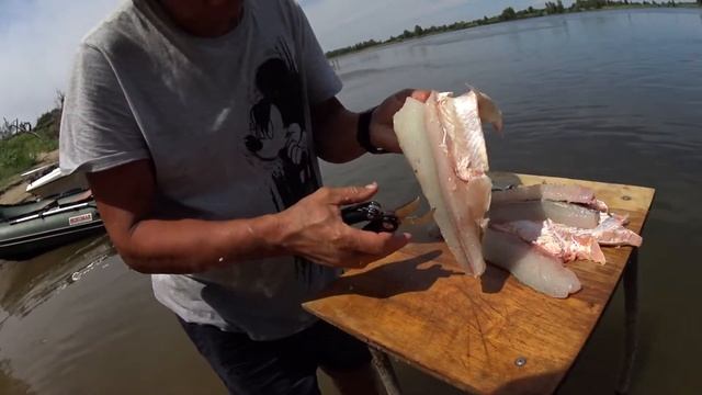 Рыбалка в Астрахани 2021! Сумасшедший клев судака! смотреть онлайн