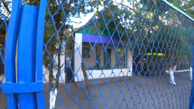 ВЛАДА НАПУГАЛИ В ЗООПАРКЕ!!! БЫВАЕТ)) смотреть онлайн