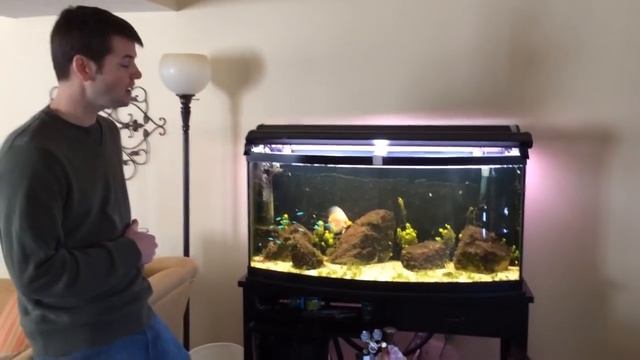 CO2: HOW TO Run CO2 In A Planted Tank