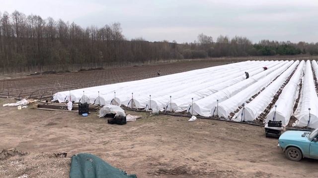 1,2 млн древесных черенков! смотреть онлайн