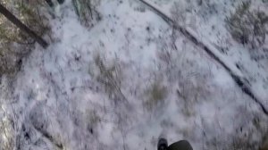 Регион 88 | Промысел соболя 2022. Часть 9