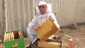 Купил пчелопакет Что с ним делать дальше?/Поставил мед ,обработал от болезней.