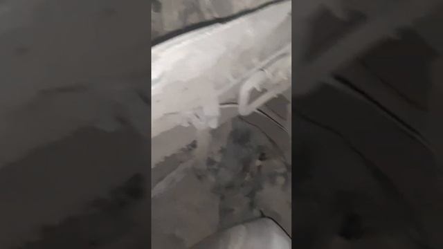 21 сентября 2023 г.