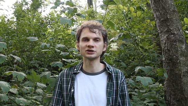 МУЧНИСТАЯ РОСА. Самые эффективные методы борьбы смотреть онлайн