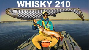 Щука на БОЛЬШУЮ приманку. Приманка разработанная в 3D своими руками!!!