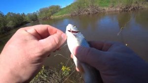 Рыбалка на косынки