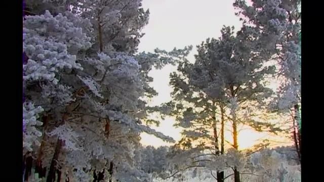 Видеозарисовка - Зимняя сказка. смотреть онлайн