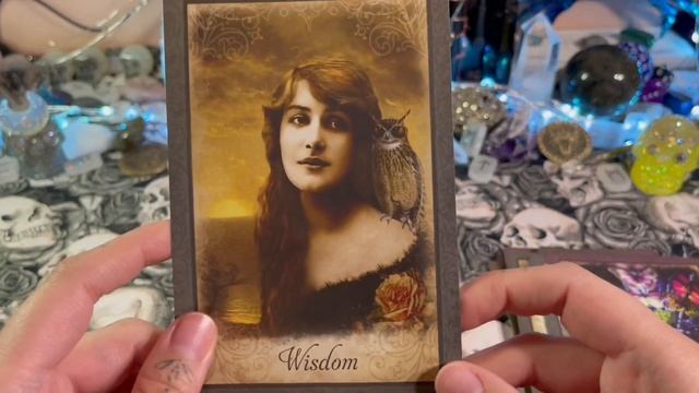 Vintage Wisdom Oracle | Deck FlipThru and Review смотреть онлайн