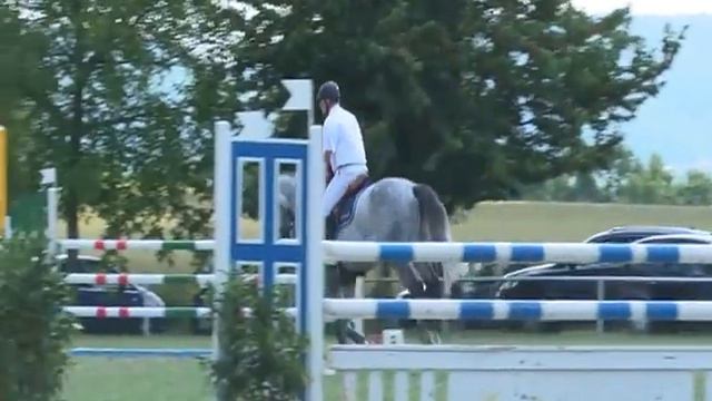 7 years geld Douglas x Joost won up 1.35 placed up 1.40 International смотреть онлайн