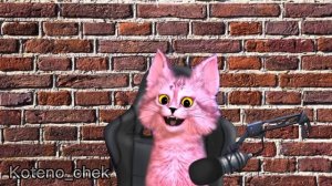 ЛИЦО КОТИКА ИГРОМАНА! ? (Весёлого кота)