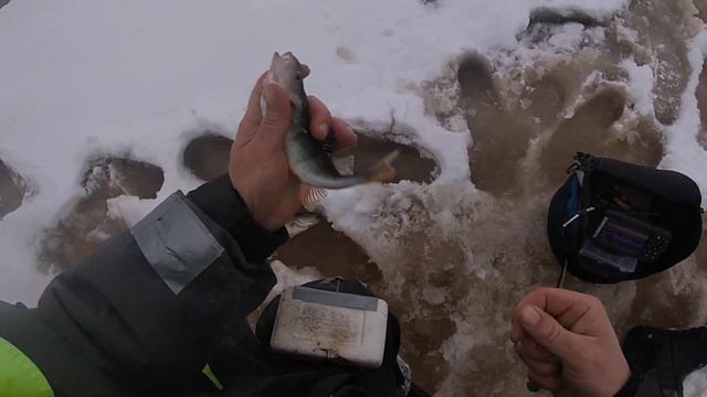 Зимная рыбалка на балду 16.12.2023 смотреть онлайн