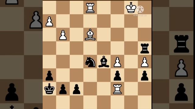 Cara Belajar Opening Scotch 4....Gc5 5.Kxc6 For Black part3👍 смотреть онлайн
