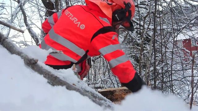 Ported Husqvarna 254 XPG, first run. Salix Caprea wood. смотреть онлайн