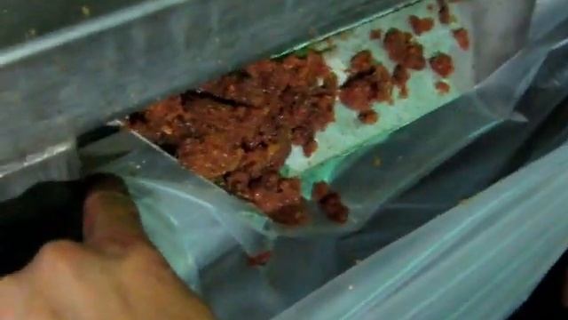 Н3 ИФБ. Испытание пробивочной машины (дефростированные ястыки сельди) смотреть онлайн
