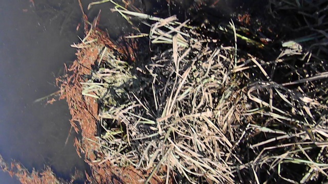 DSCN3708 смотреть онлайн