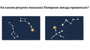 Звездное небо. Созвездия. Знаки зодиака.